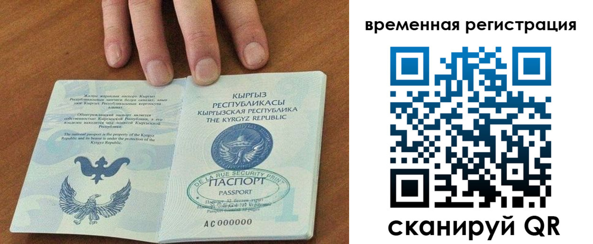 прописка ребенка в Михайловке